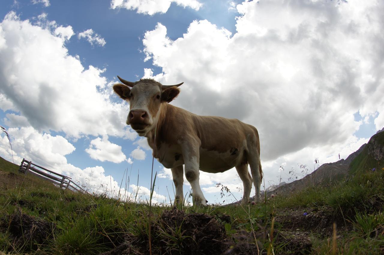 Garni Biancaneve Ruffre-Mendola Buitenkant foto